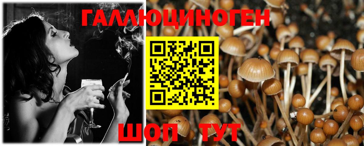Галлюциногенные грибы MAGIC MUSHROOMS  Вход с VPN  Шали 